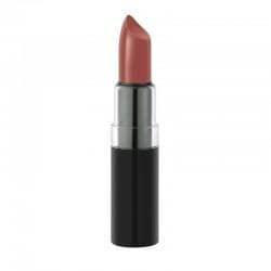 Vision Lipstick - Golden Rose Cosmetics Pakistan.